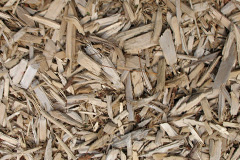 biomass boilers Symington